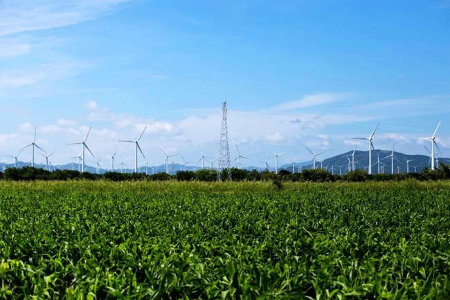 收購墨西哥818MW光伏電站，國家電投境外光伏電站裝機超6GW