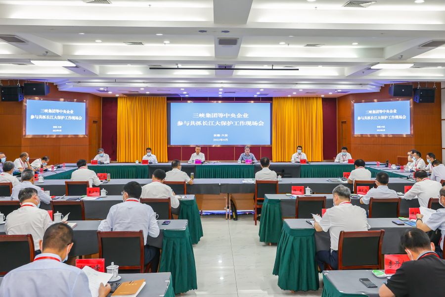 三峽集團等中央企業(yè)參與共抓長江大保護工作現場會在六安召開