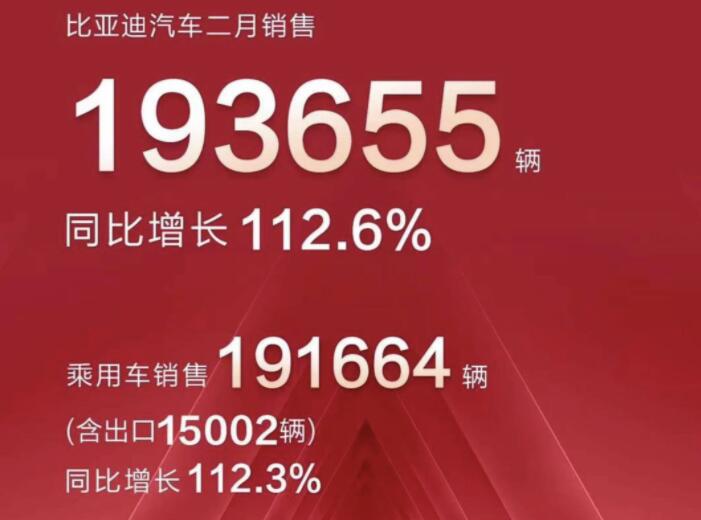 2月新能源車企成績單出爐，比亞迪一騎絕塵