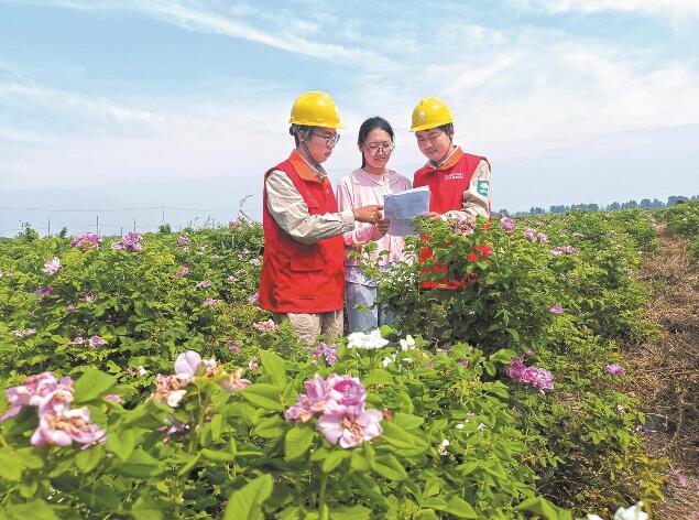 江蘇省啟東市“一村一制” 電力服務(wù)精準便民