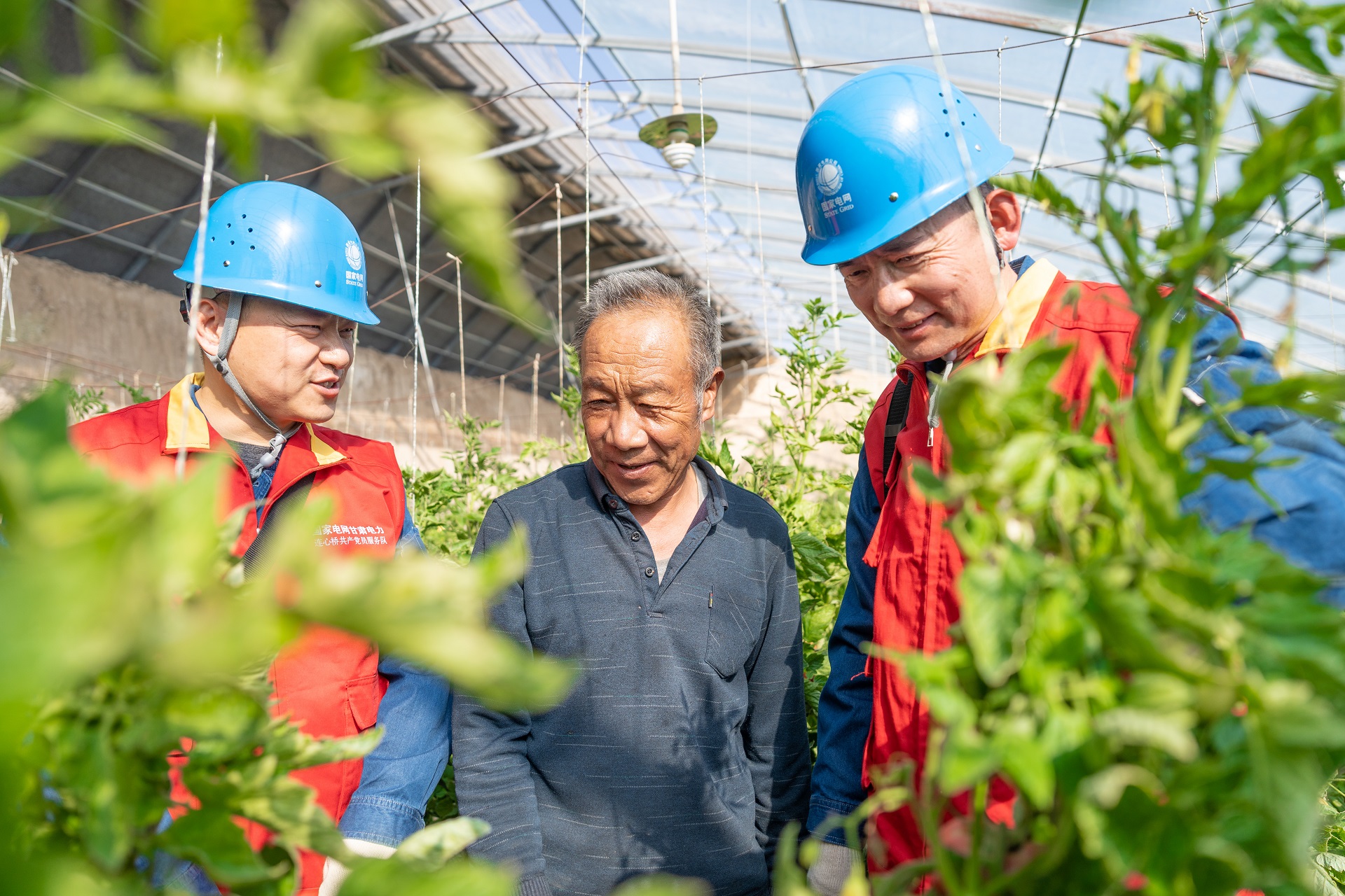國網(wǎng)榆中縣供電公司：黨建賦能強保障 農業(yè)生產電力足