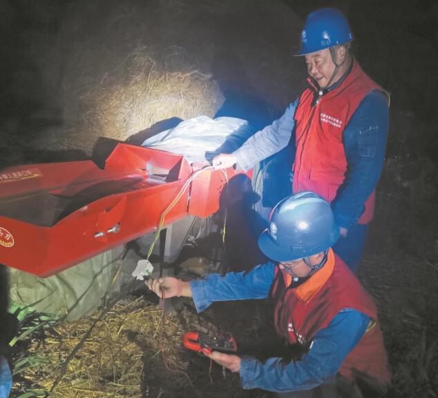 甘肅岷縣:深夜搶修 幫養(yǎng)雞場恢復用電